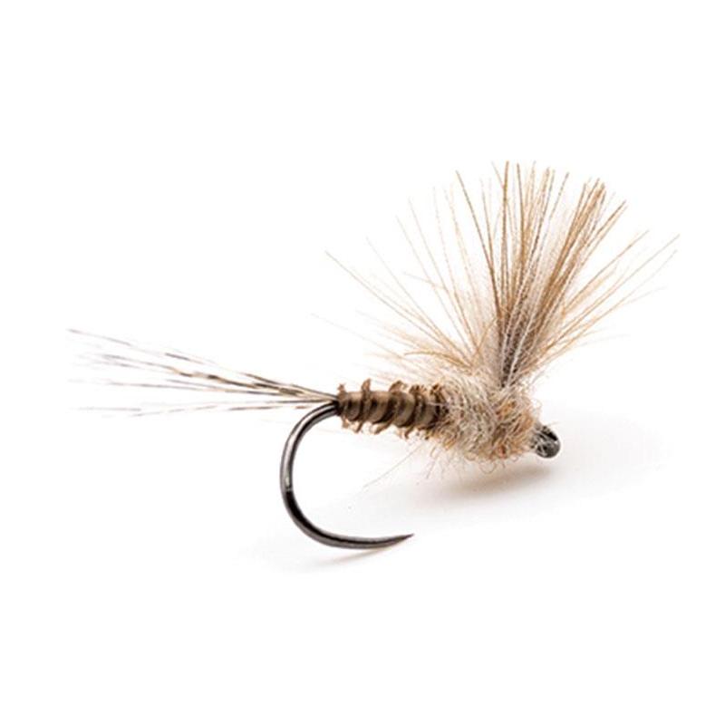 Mouche Devaux Emergente Jbe12