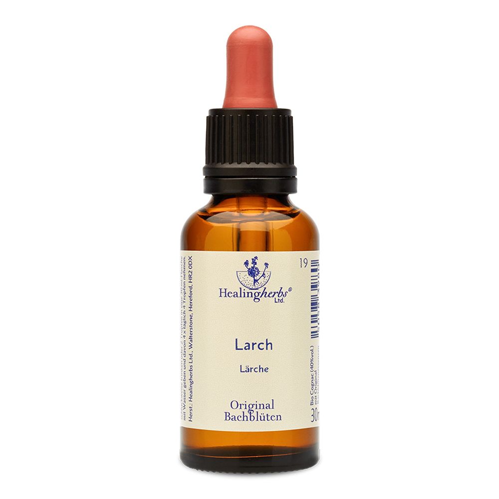 Healing Herbs Larch Original Bachblüten Tropfen