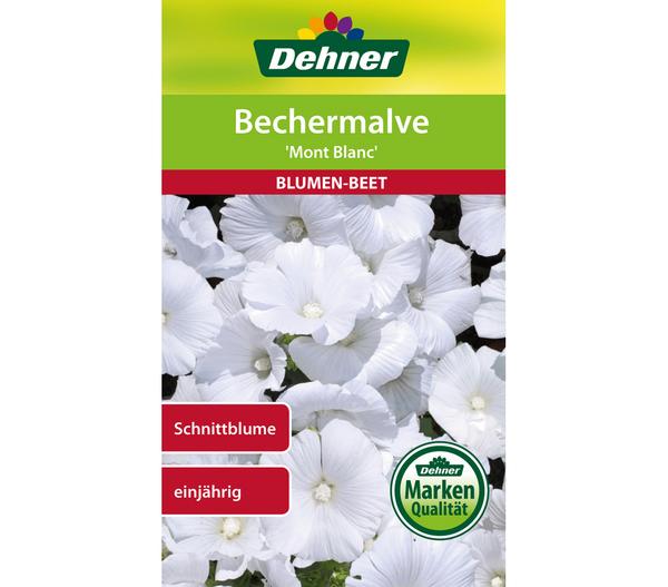 Dehner Samen Bechermalve 'Mont Blanc'