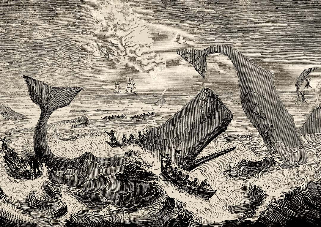 Szene Moby Dick