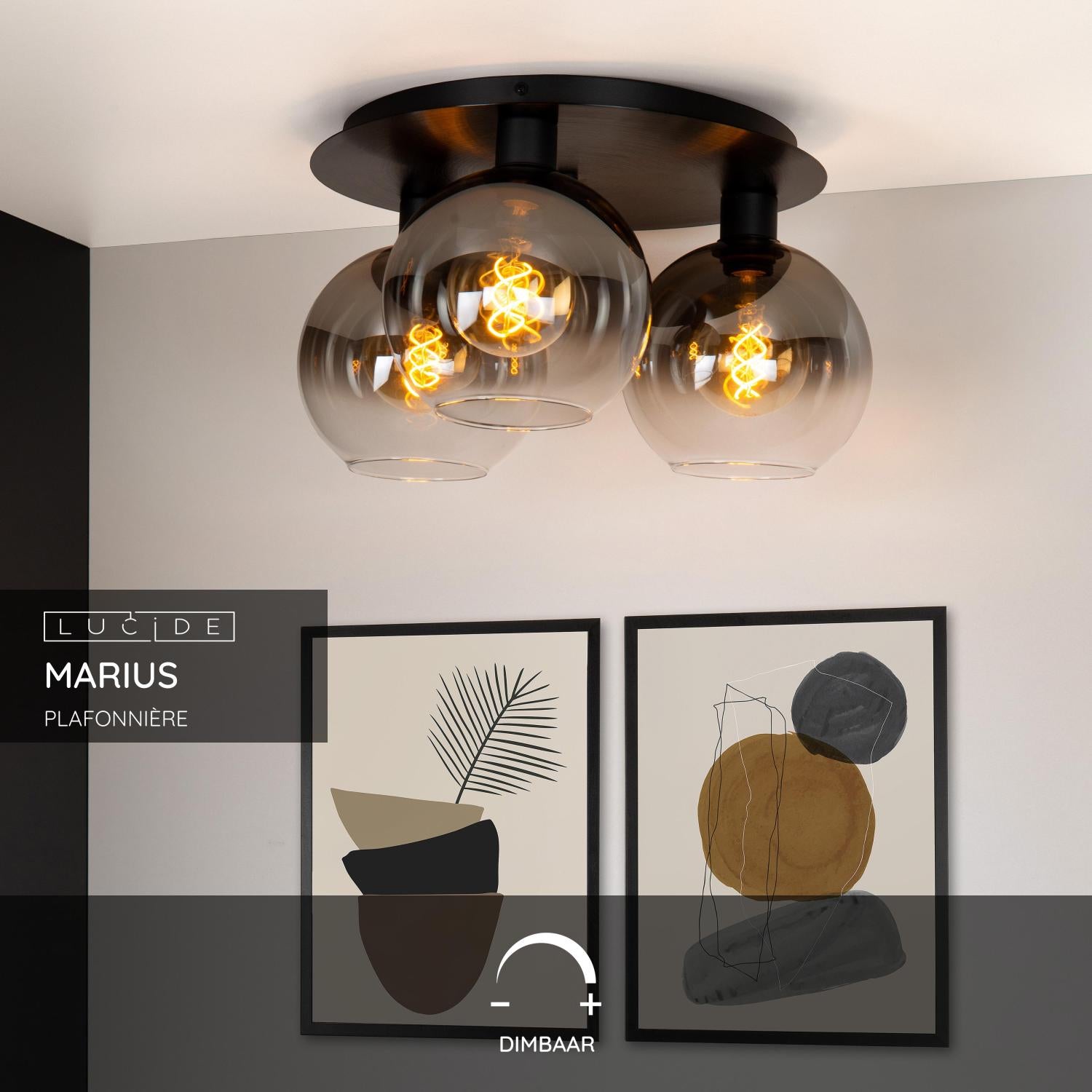 Marius 3 plafondlamp Ã50 zwart