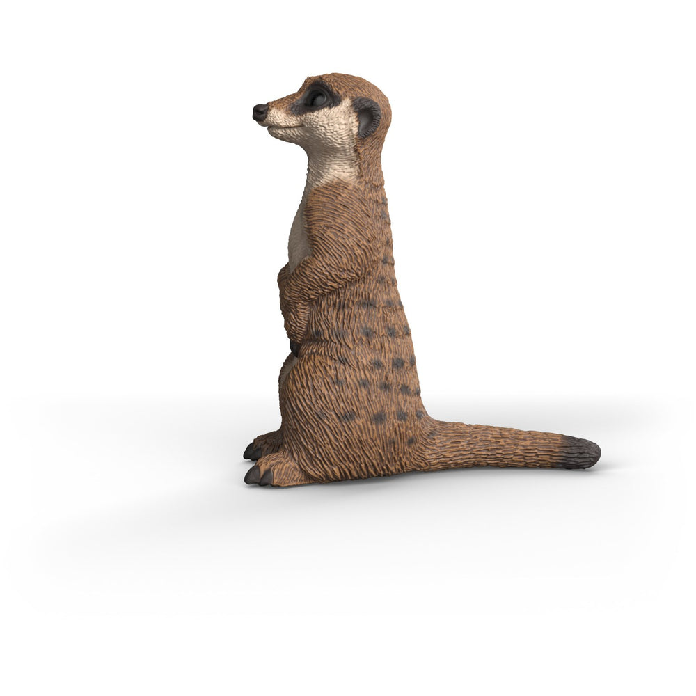 Køb Schleich Surikat