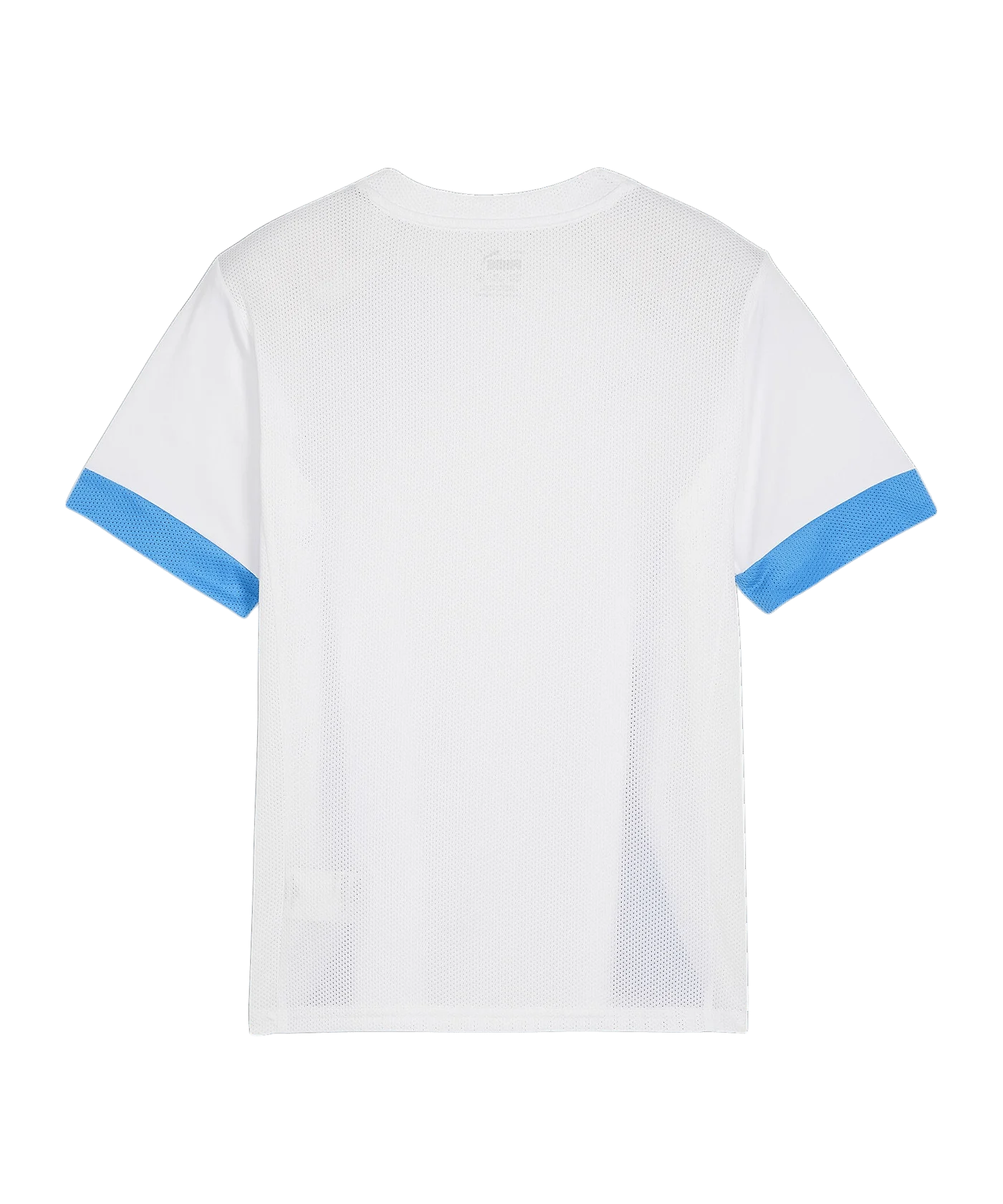 PUMA teamGOAL Matchday Trikot Kids Weiss Blau F12