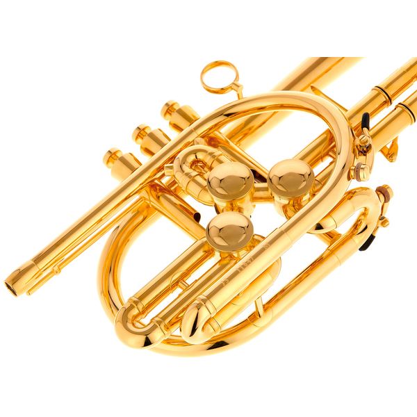 Schagerl RAWENI Bb-Trumpet