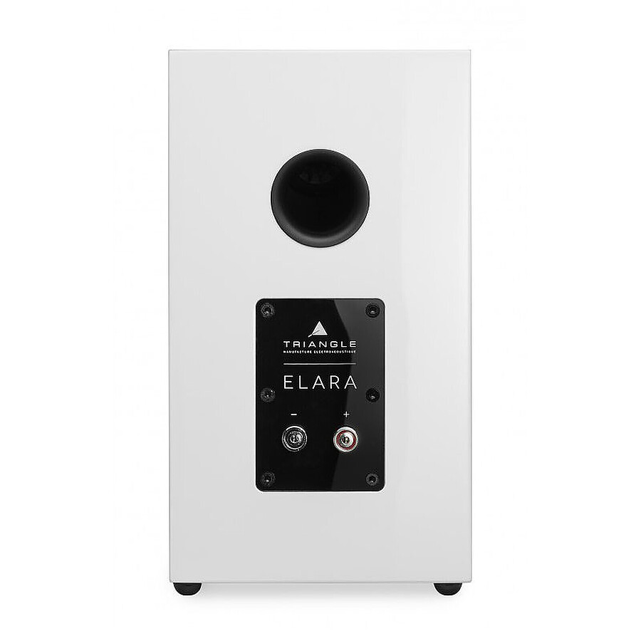 Denon RCD-N12DAB Noir + Triangle Elara LN01 Blanc