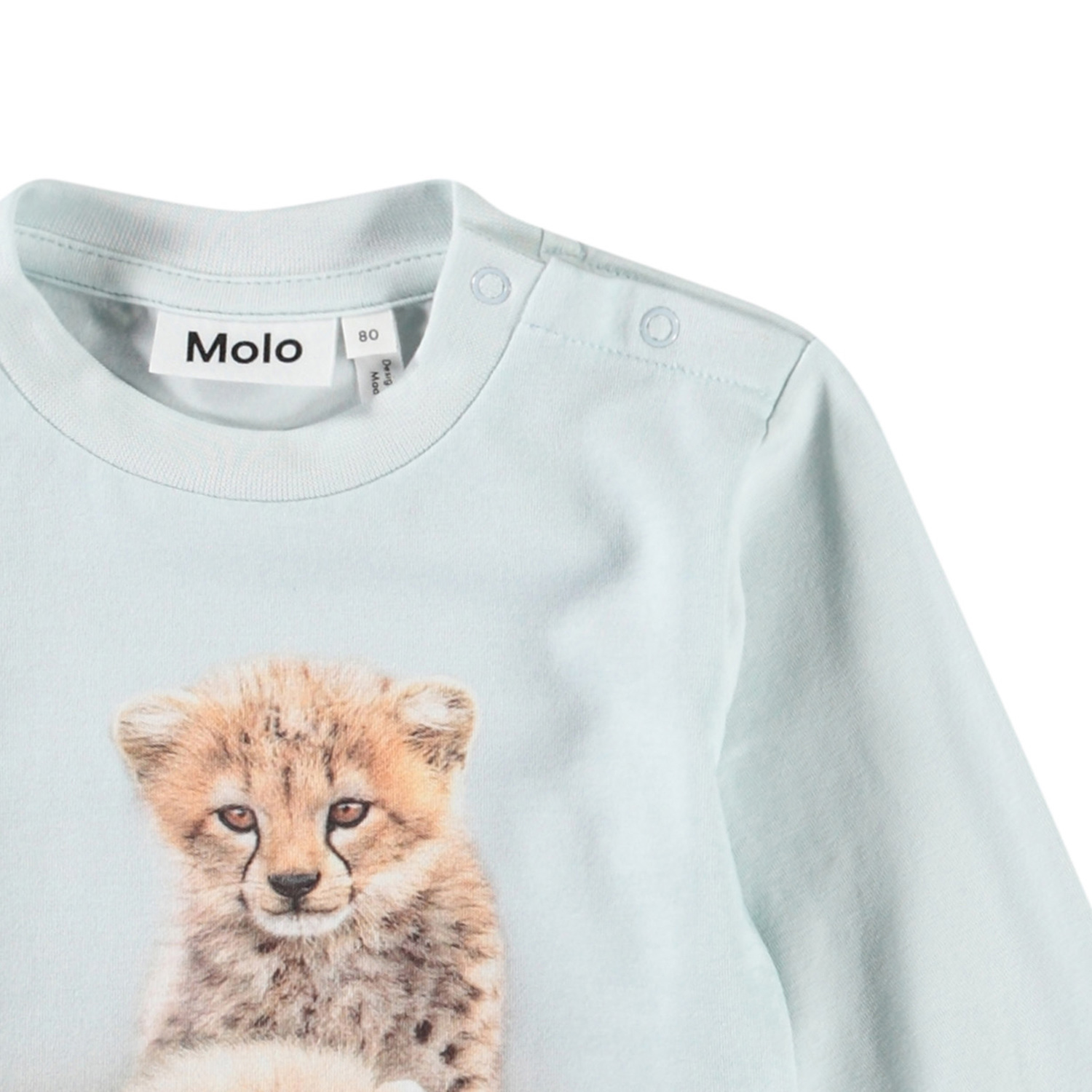 Eloy - Cute Cheetas