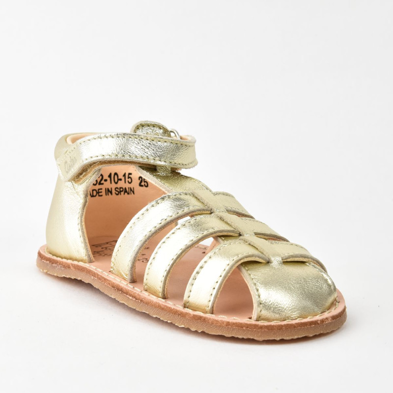 Aster Aster Petits Pas Binosmo Or