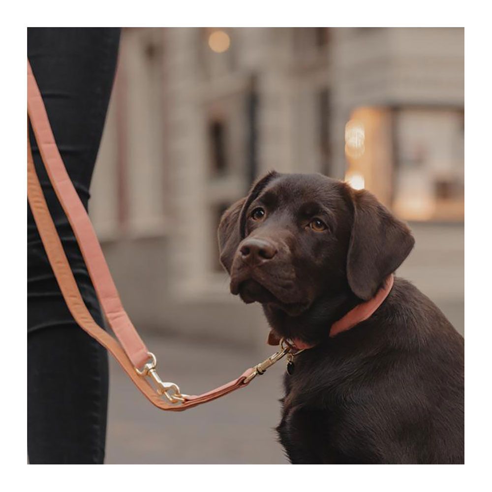 Kentucky CUIR VEGAN - Laisse pour chien peach/brown