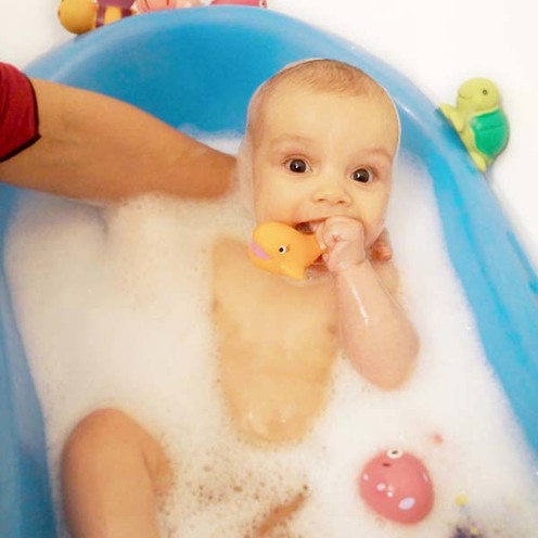 Aspergeurs pour le bain animaux - LUDI