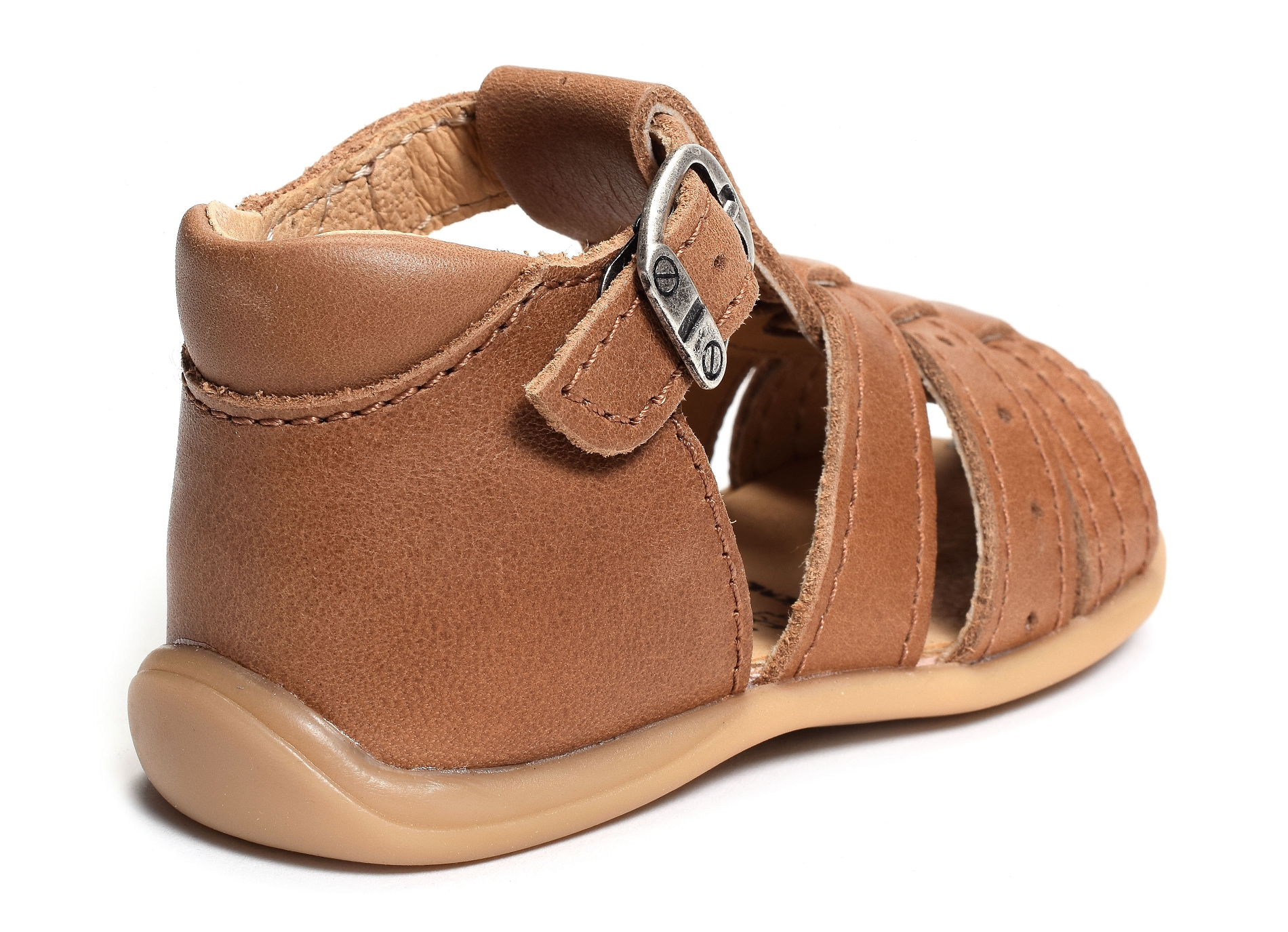 Parvi camel