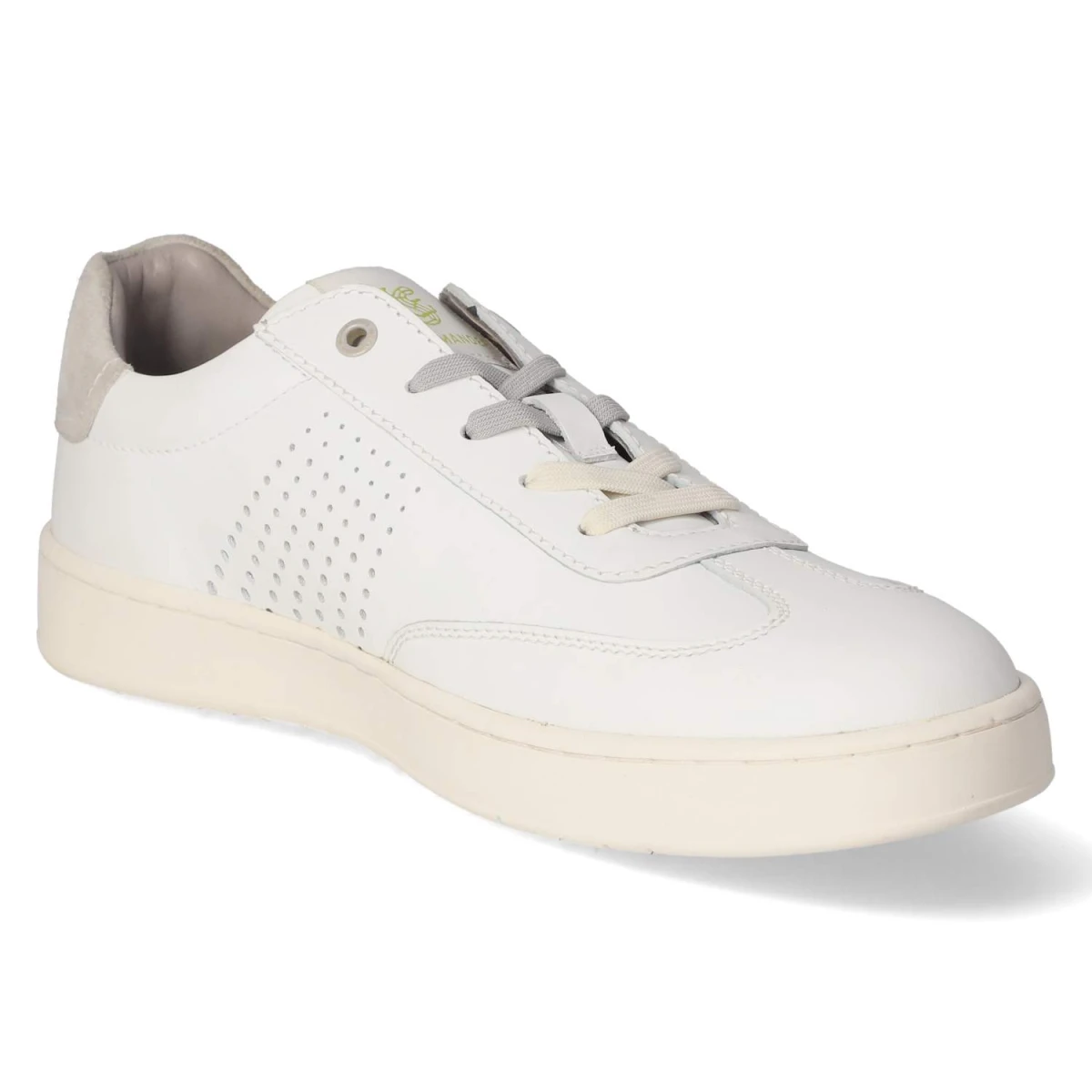 SalamanderLow Sneaker - white