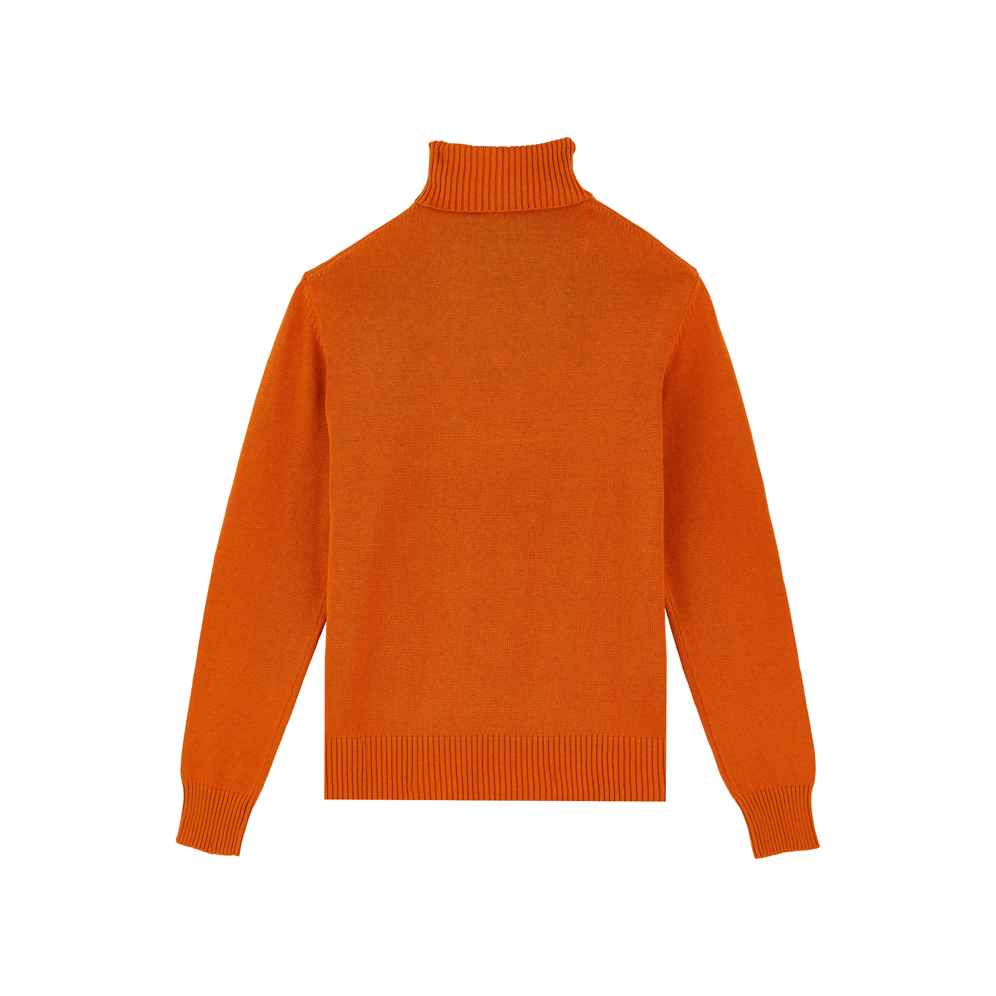 Pull Col Roulé en Coton et Cachemire Homme Uni