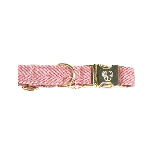 Kentucky Dogwear Hondenhalsband Wool