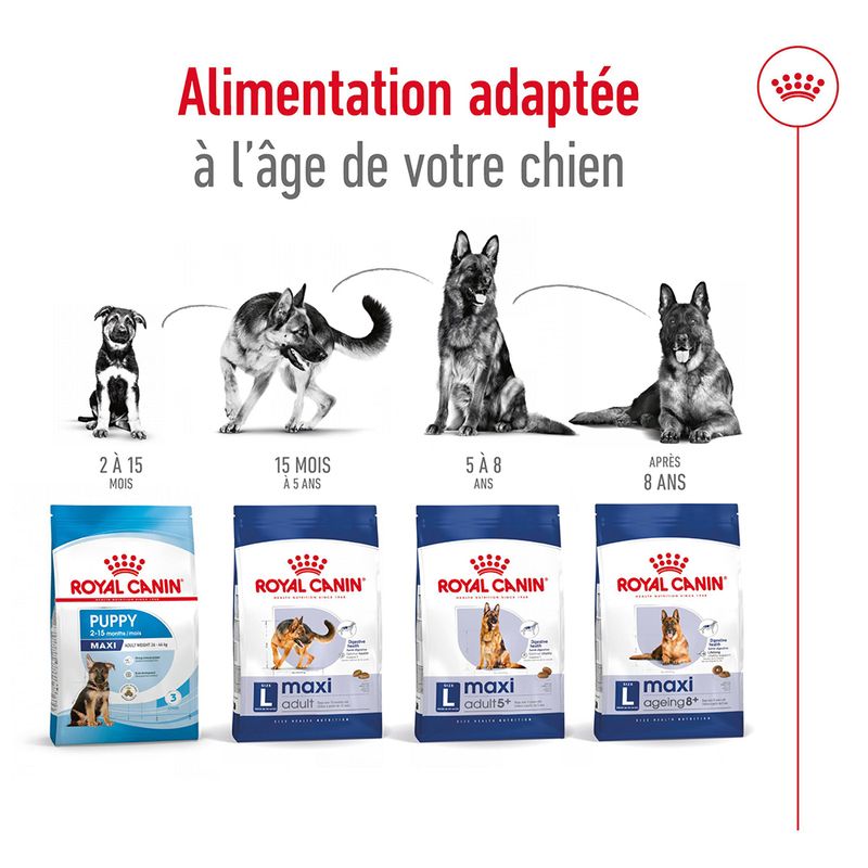 Royal Canin Maxi Ageing 8+ à prix discount sur bitiba.fr