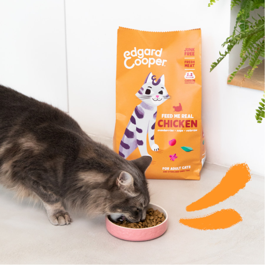Ração para gatos adultos Edgard & Cooper com sabor de frango