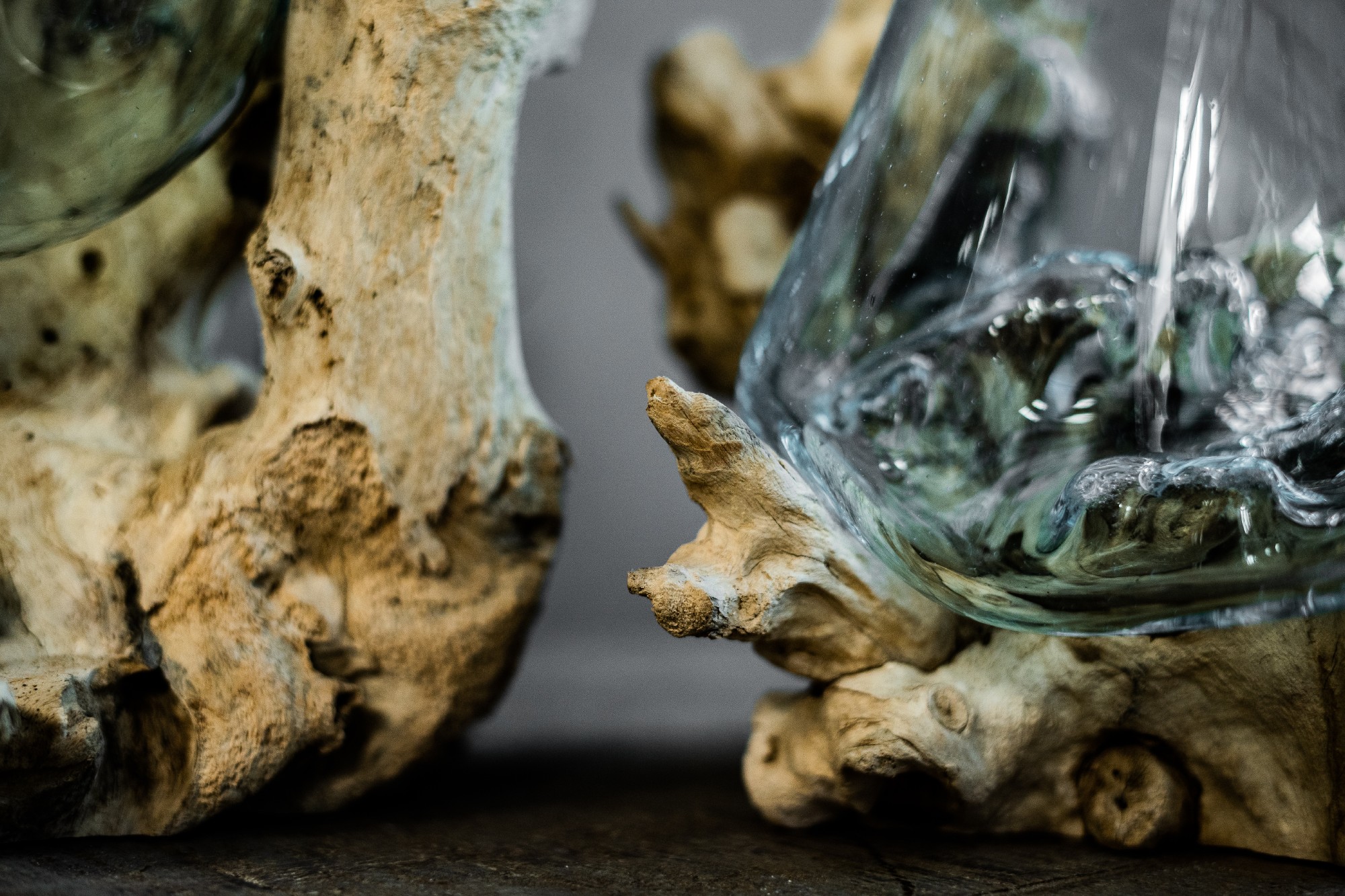 Glasvase aus Wurzelholz, natur, T 10 - 15 cm, B 15 - 23 cm, H 14 - 17 cm von fischer's lagerhaus
