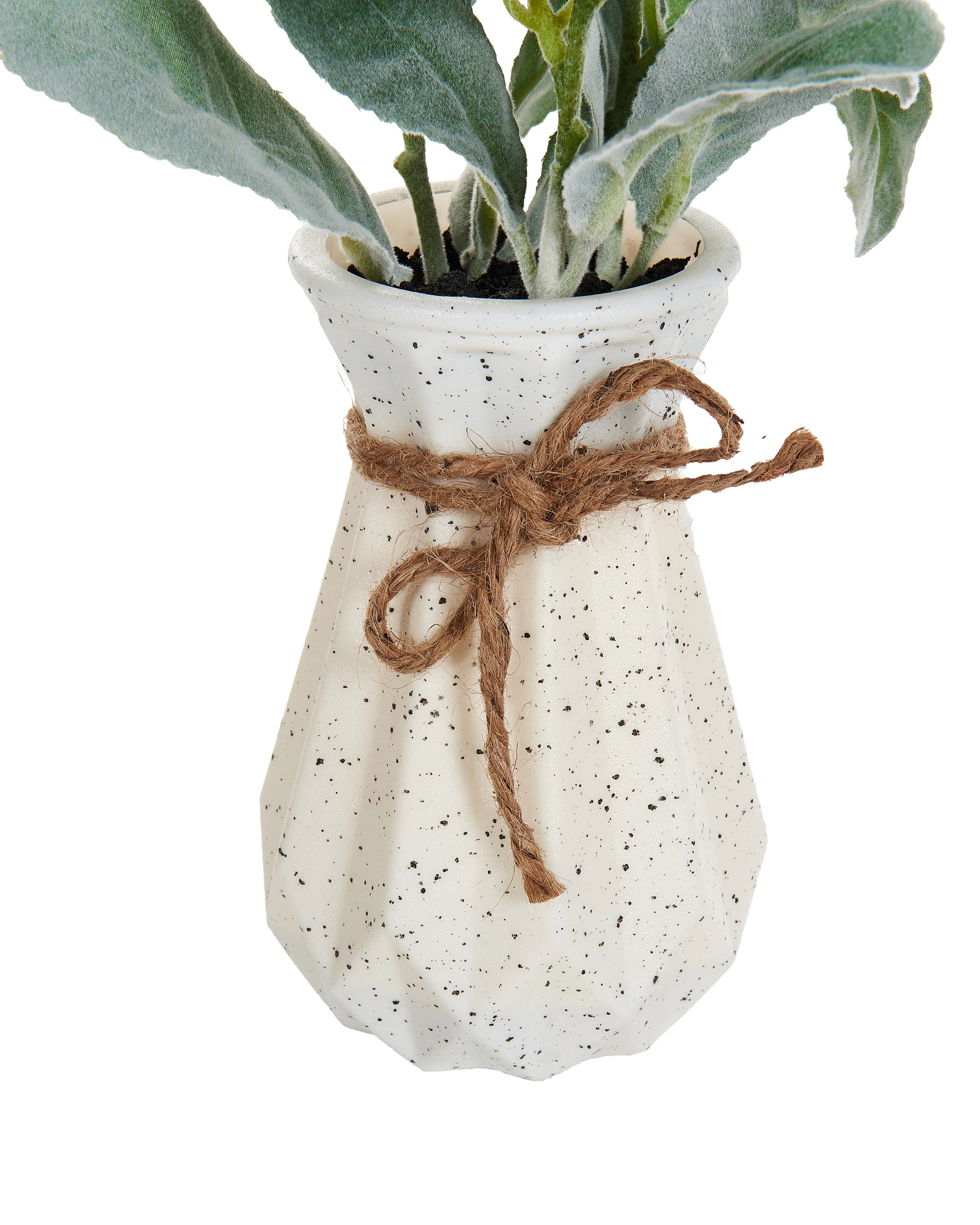 Kunstplant PEPEROMIA ARGYREIA 30 cm Groen