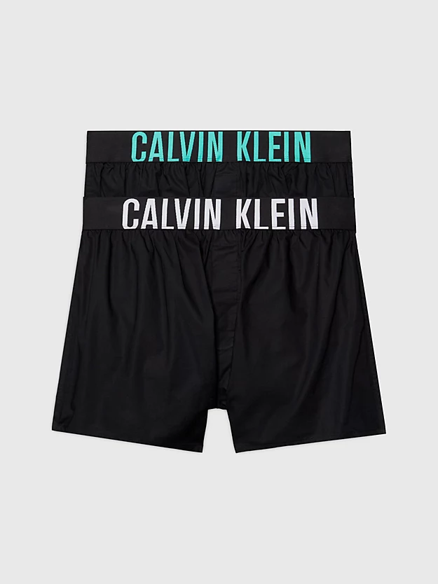 Cuecas Boxer Slim - Pacote com 2 - Intense Power