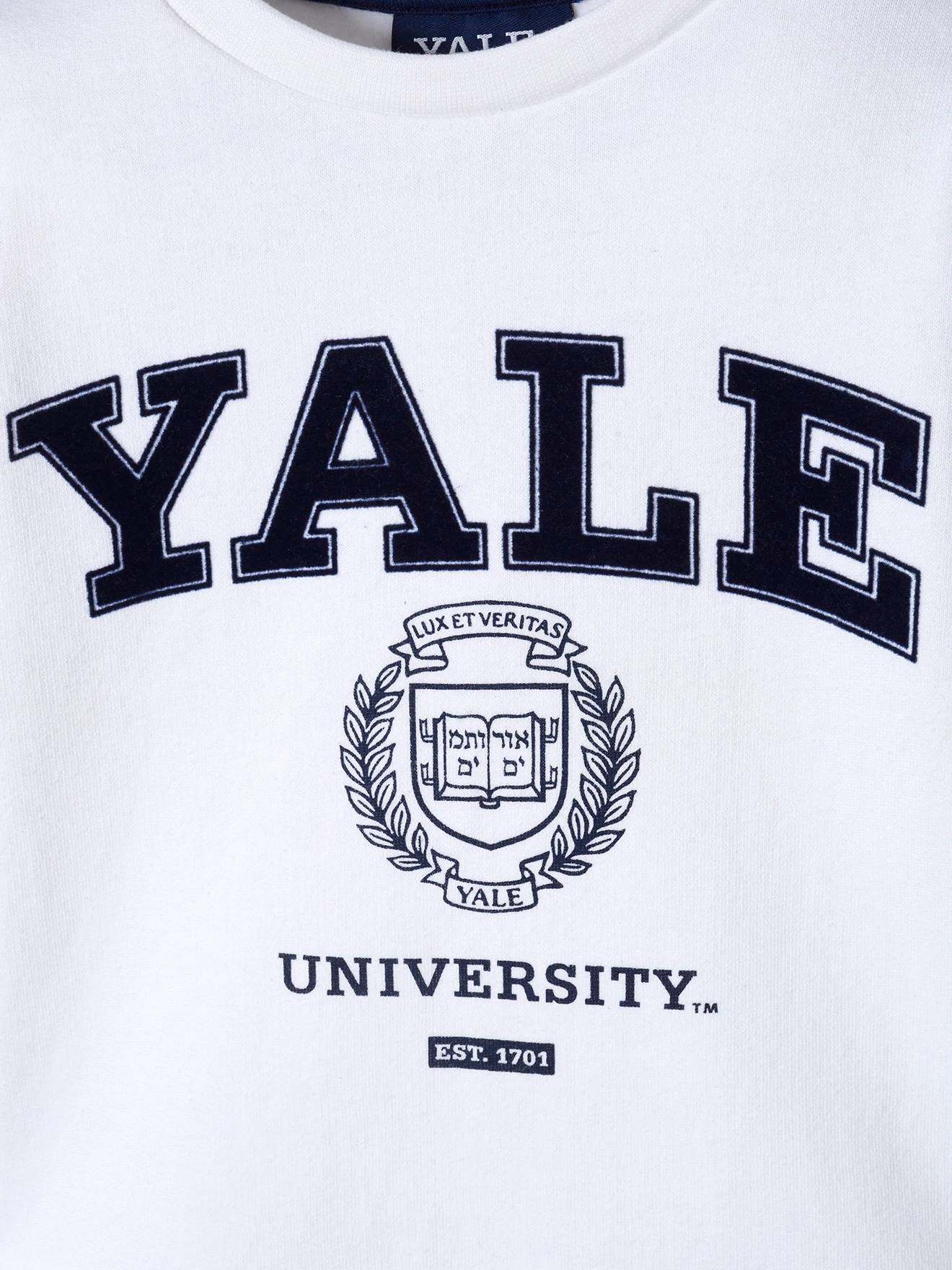Moletom Yale®, branco claro, liso com estampas.