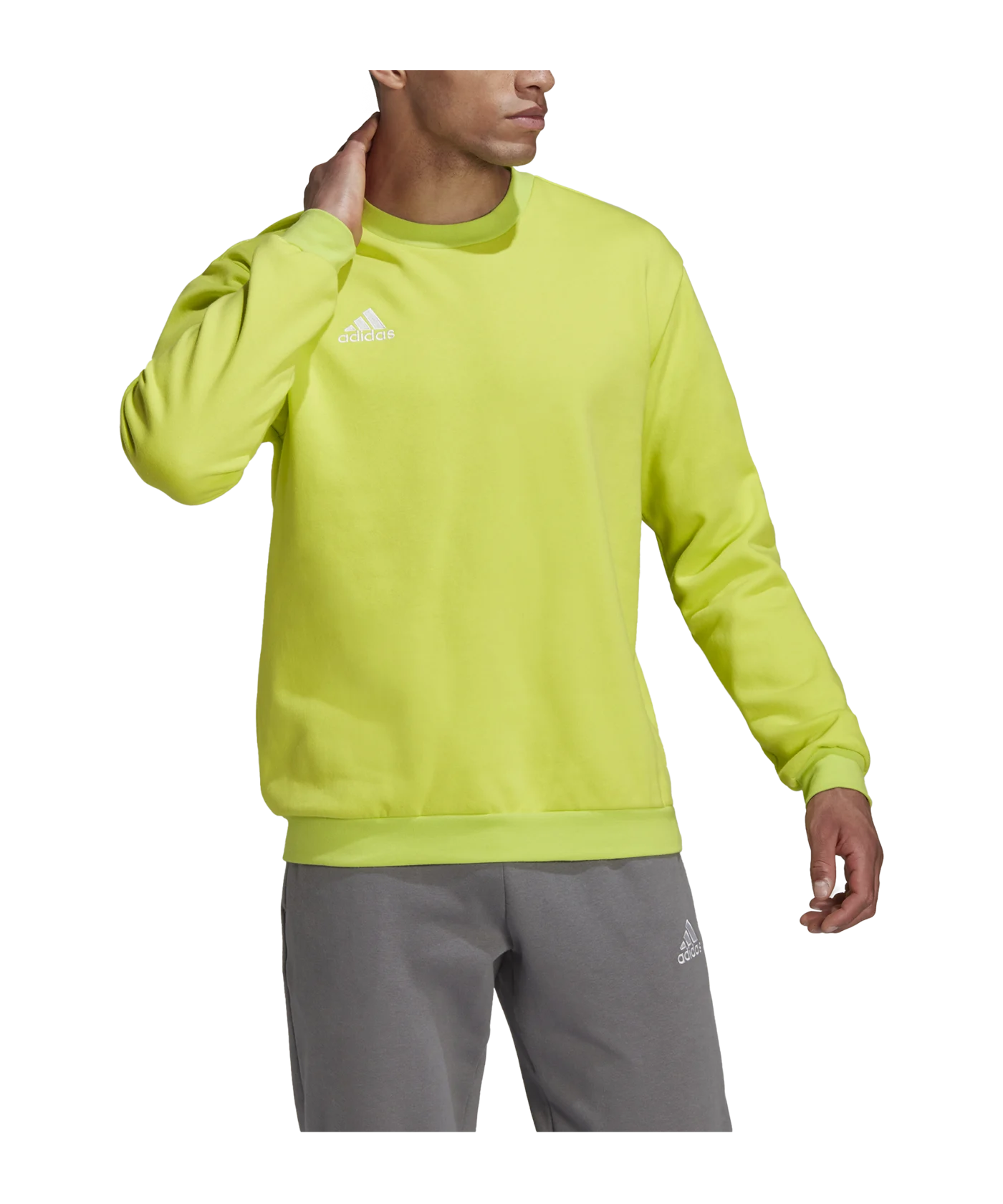 adidas Entrada 22 Sweatshirt Grün