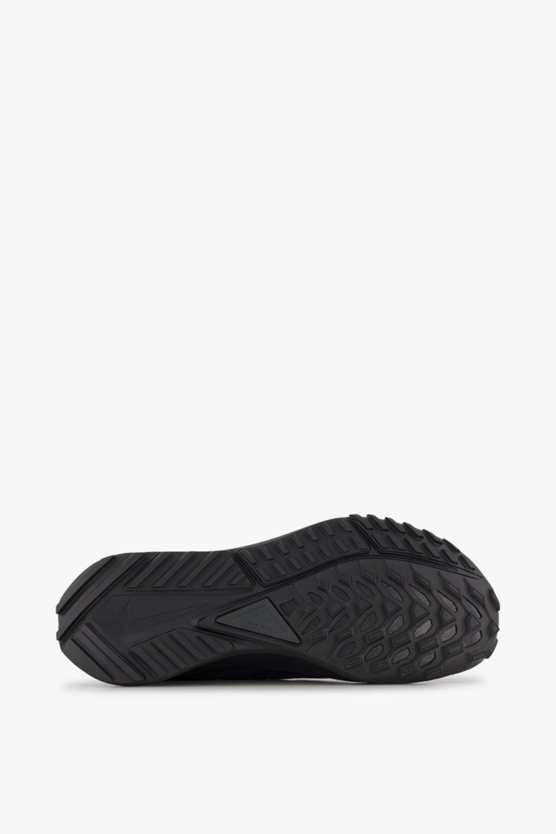 Nike Pegasus Trail 4 Gore-Tex® Herren Trailrunningschuh