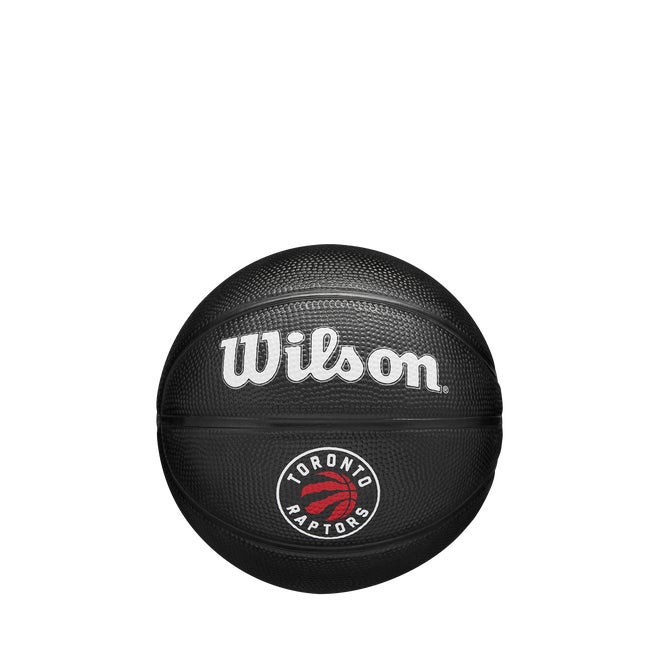 NBA Team Tribute Mini Basketball