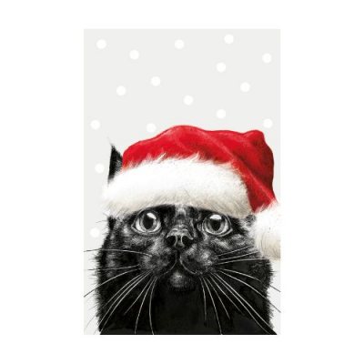 Black Cat Christmas Hat