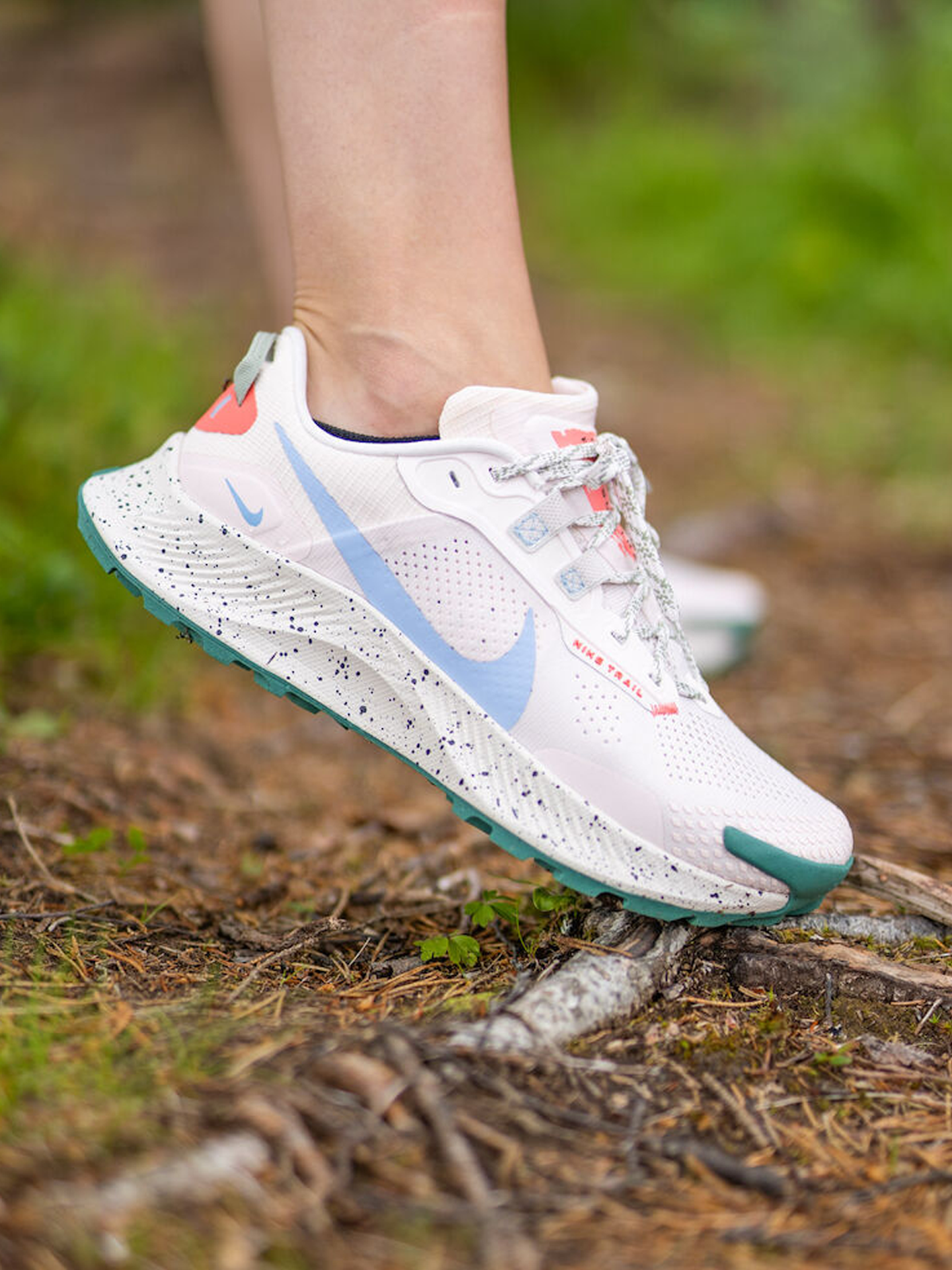 Pegasus Trail 3