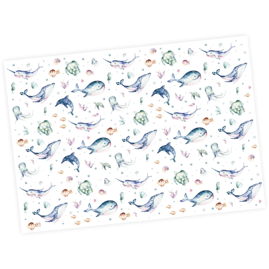 Nikima Geschenkpapier 5 Bögen Meerestiere bunt Aquarell – 1,60€qm Größe: - 84,1 x 59,4 cm bunt