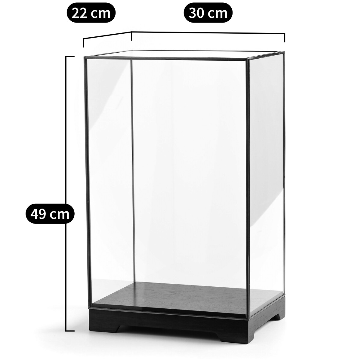 AM.PM<br>Vitrine Studiolo