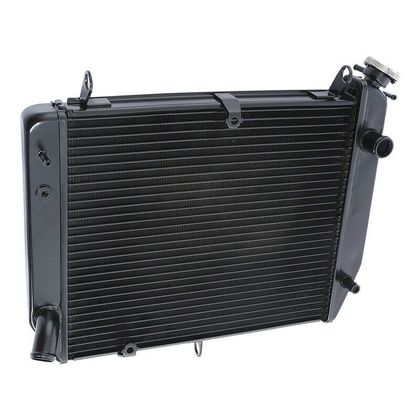 Radiateur Brazoline A EAU ADAPTABLE