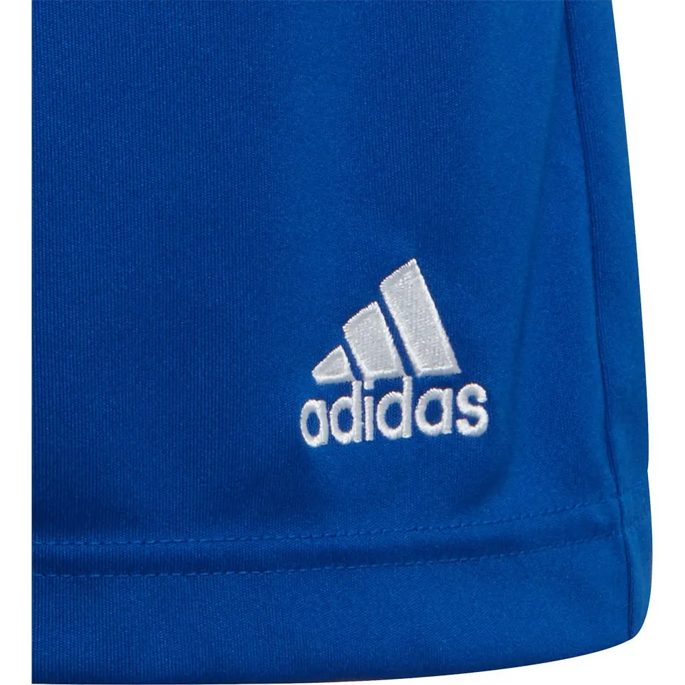 calções adidas Entrada 22