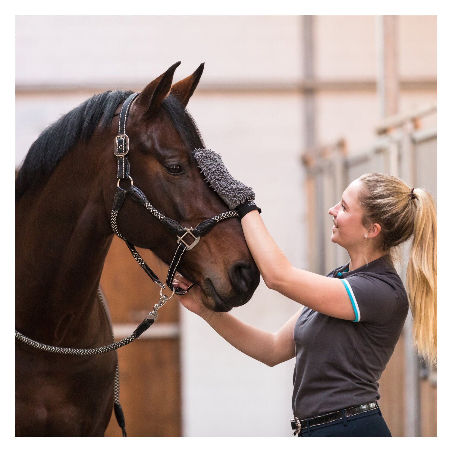 EQUINE-MICROTEC Pflegehandschuh-Set  - anthrazit
