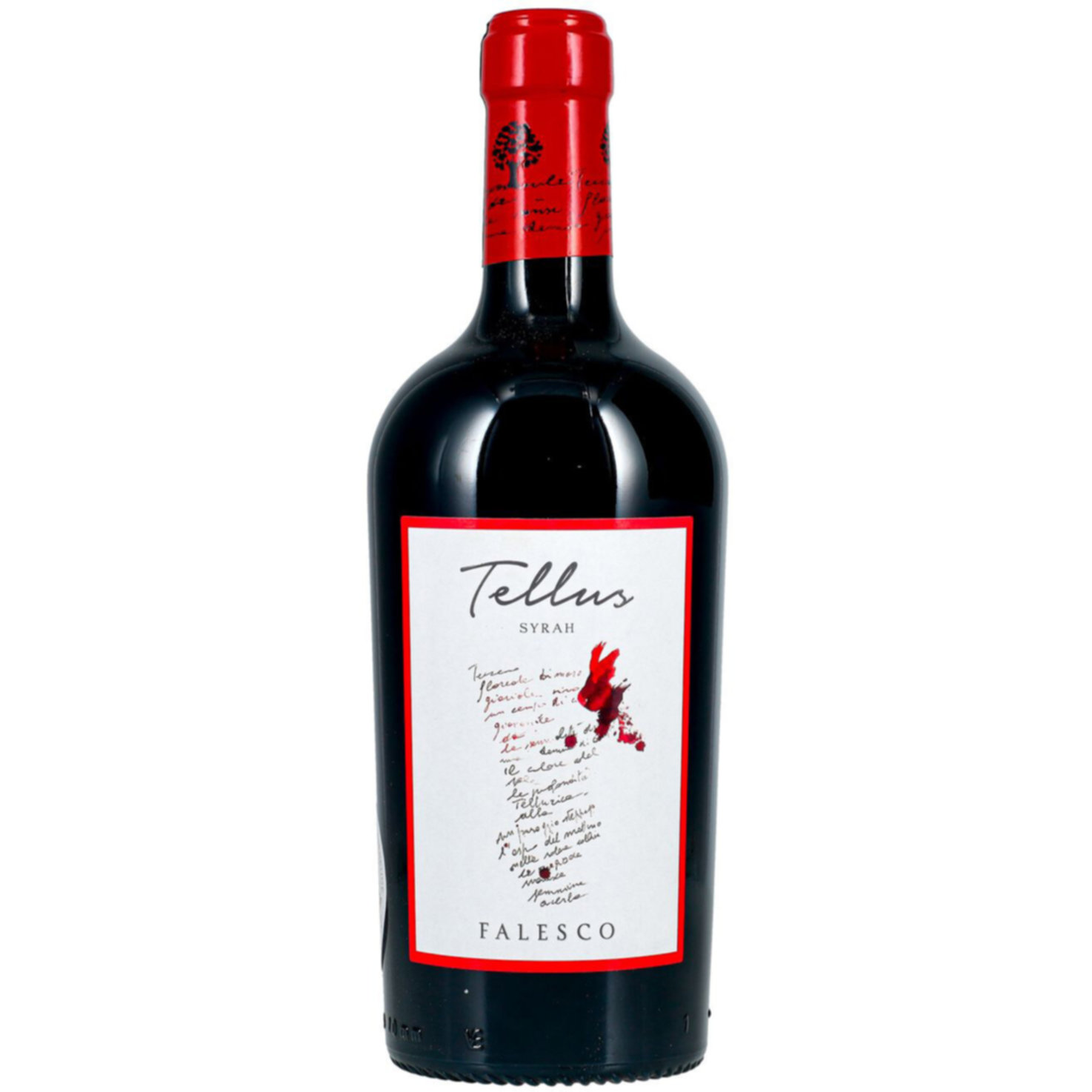 Lazio IGP Syrah Fattoria Tellus Falesco -75cl