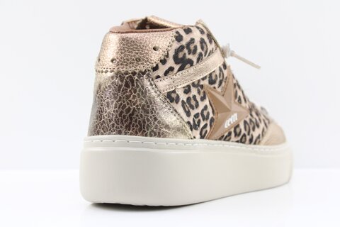Cetti Stiefeletten