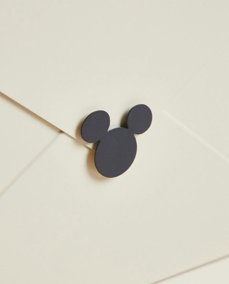 MICKEY MOUSE? CAIXA DE CORREIO DA DISNEY