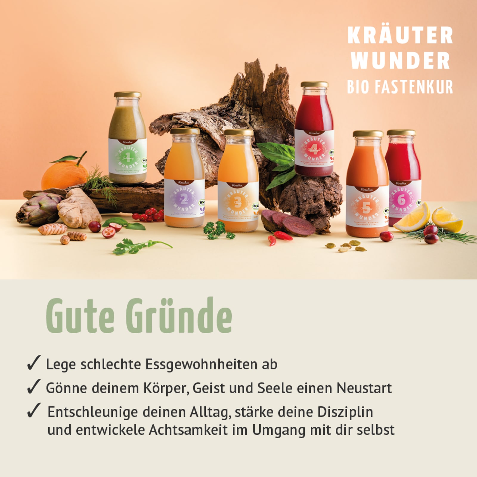 Kräuterwunder Bio Fastenkur 1 Tag (6 Flaschen)