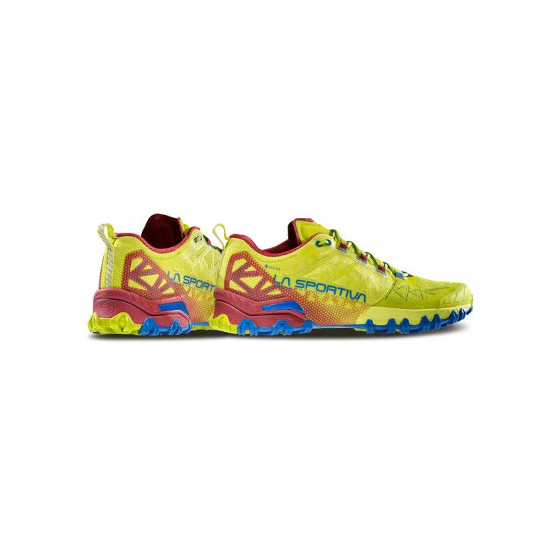 Bushido II GTX - Chaussures trail homme