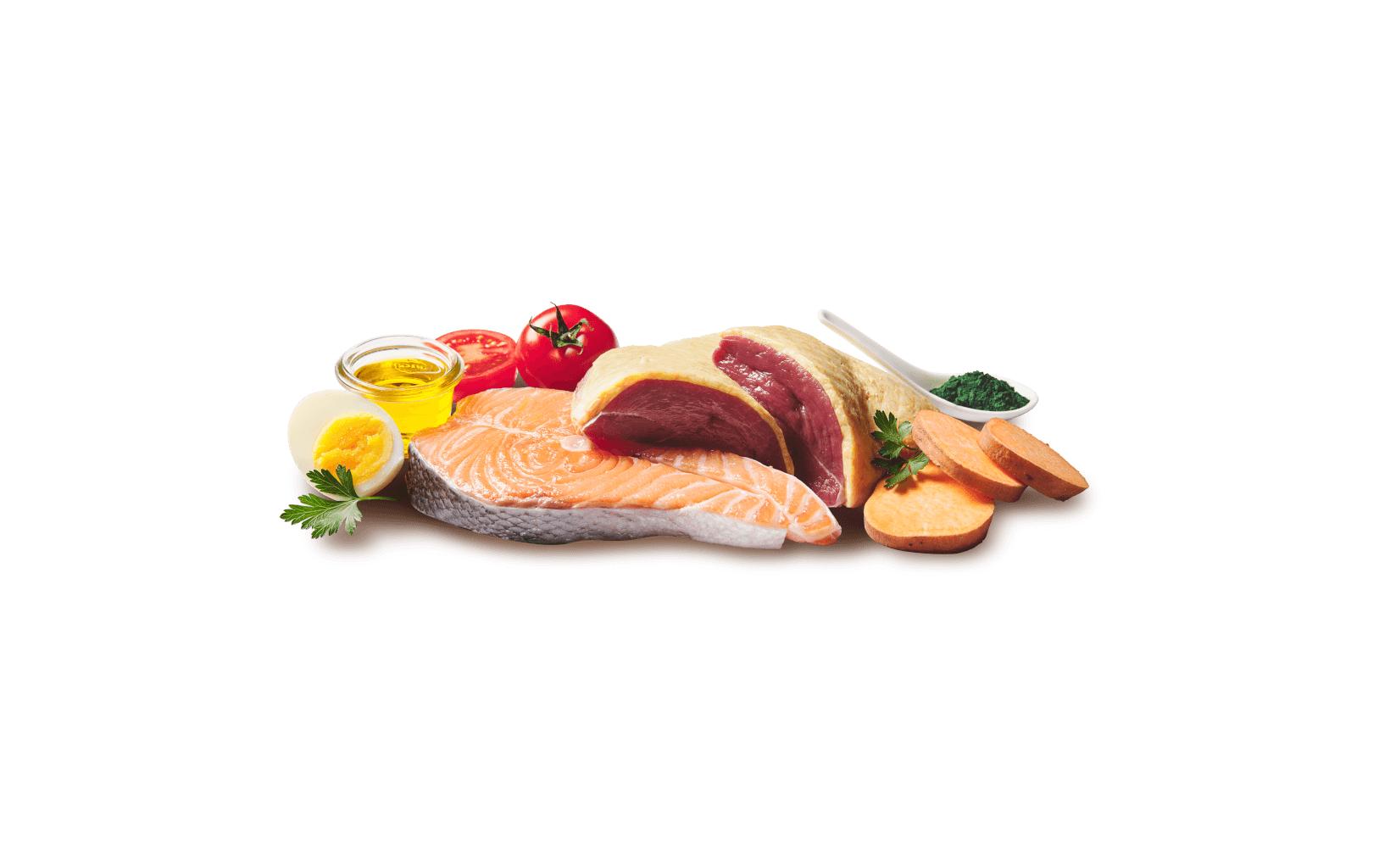 Nassfutter Dose Ente, Lachs Adult 400 gAlleinfuttermittel für ausgewachsene Hunde
