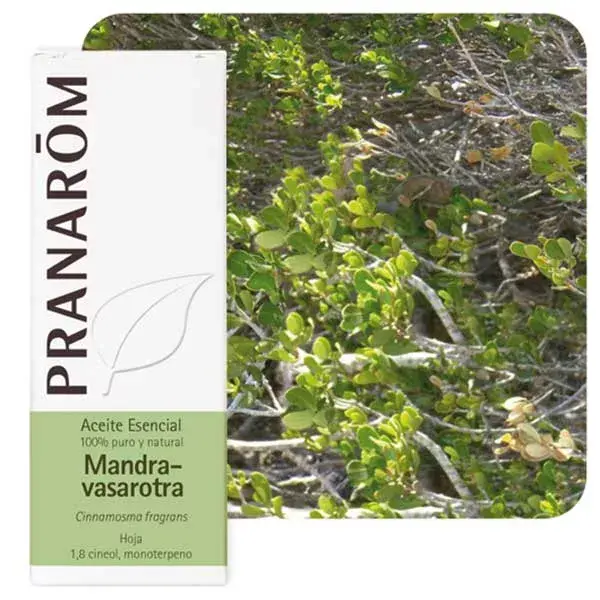 Óleo Essencial Pranarom Mandravasarotra 10ml
