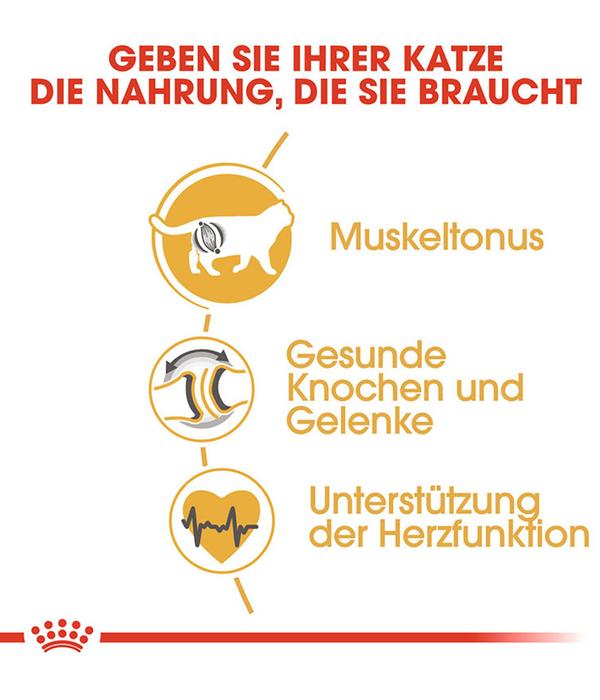 ROYAL CANIN® Trockenfutter für Katzen
