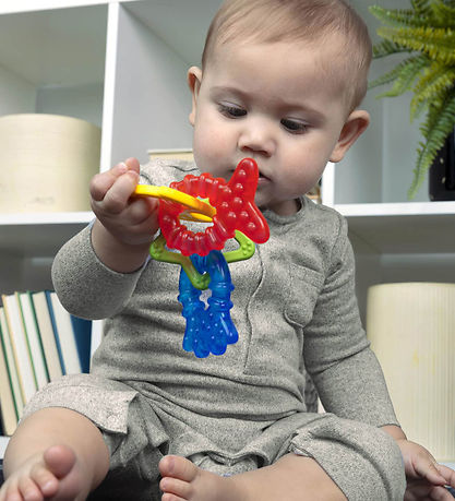 Baby Einstein Båderinge - S?t m. 4 - Cool Critters