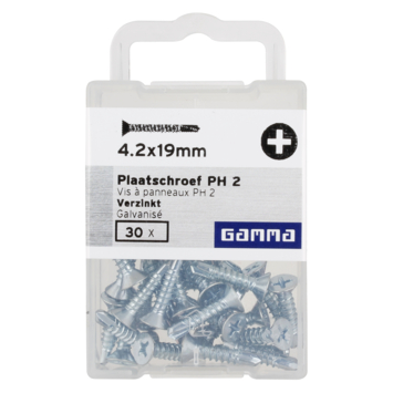Plaatschroef Zelfborend cilinderkop verzinkt 4,2X19 mm 30 stuks