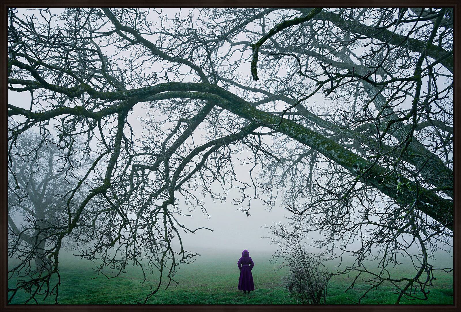 Serenity by Aida Pascual Benito - Limited Edition. Edition of: 150. Signed.