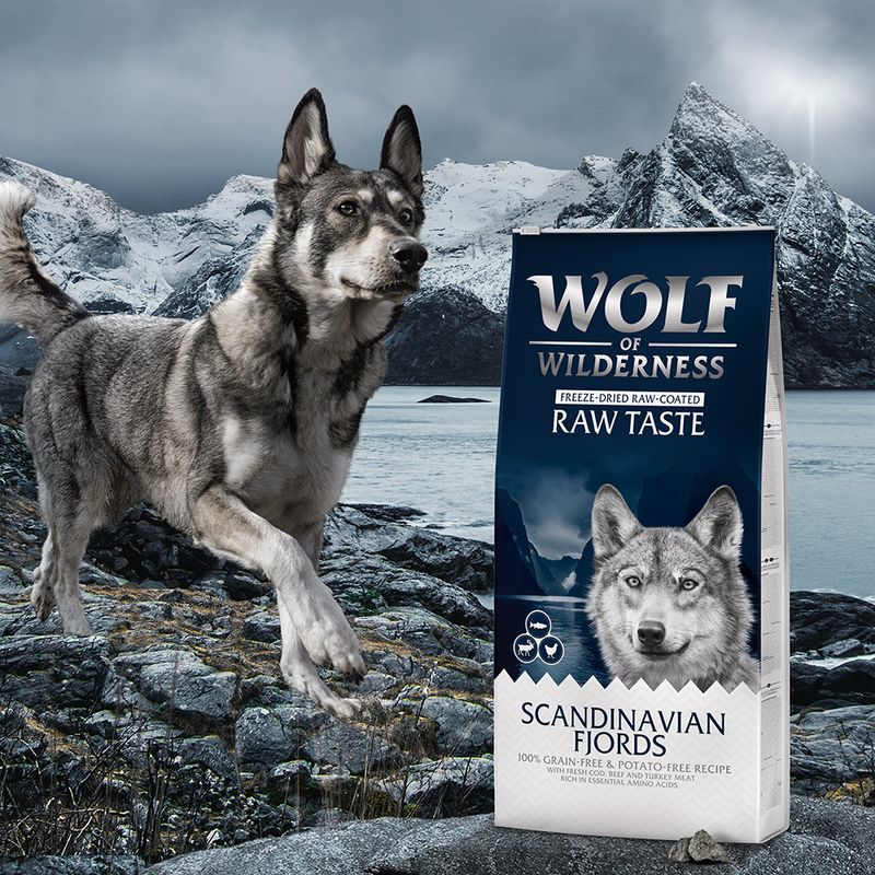 Wolf of Wilderness Scandinavian Fjords renne, poulet, saumon - sans céréales