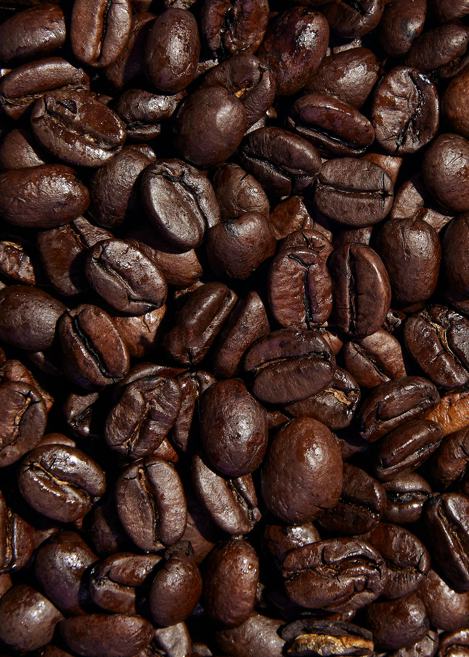 Bio Espresso ganze Bohne 1 kg