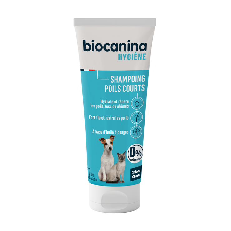 Shampoing poils courts