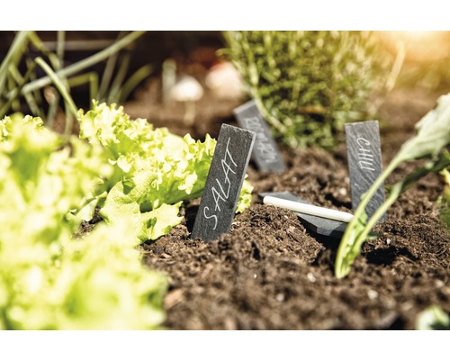 FloraSelf plantenlabels van leisteen, inclusief krijt, 8 stuks