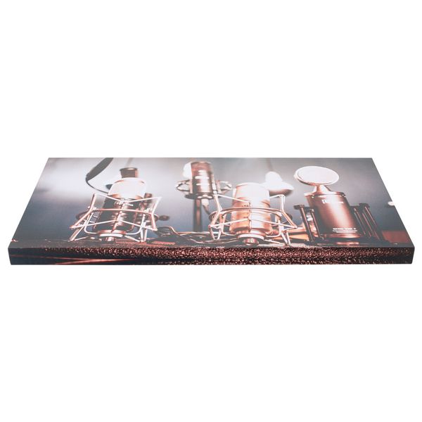t.akustik Print Panel Shiny Mics