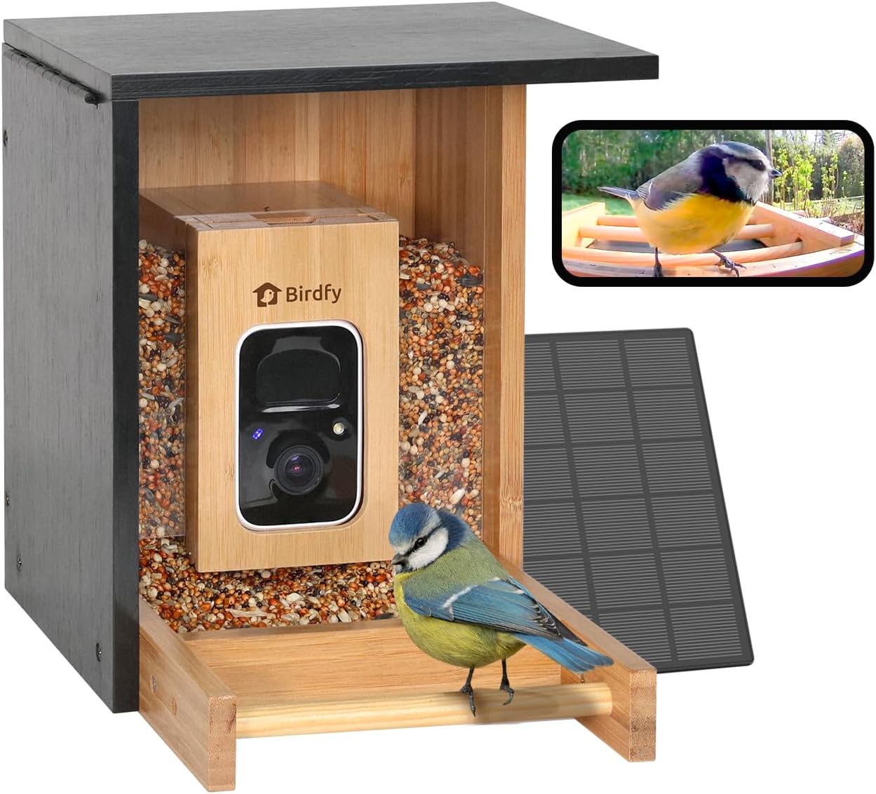 NETVUE by Birdfy Bambus Mini Vogelfutterhaus mit Kamera für Live Vogelbeobachtung, Solarbetrieb Vogelfutterspender mit App, Automatisch Aufnahm und Echtzeit Benachrichtigung bei Vogelbesuch